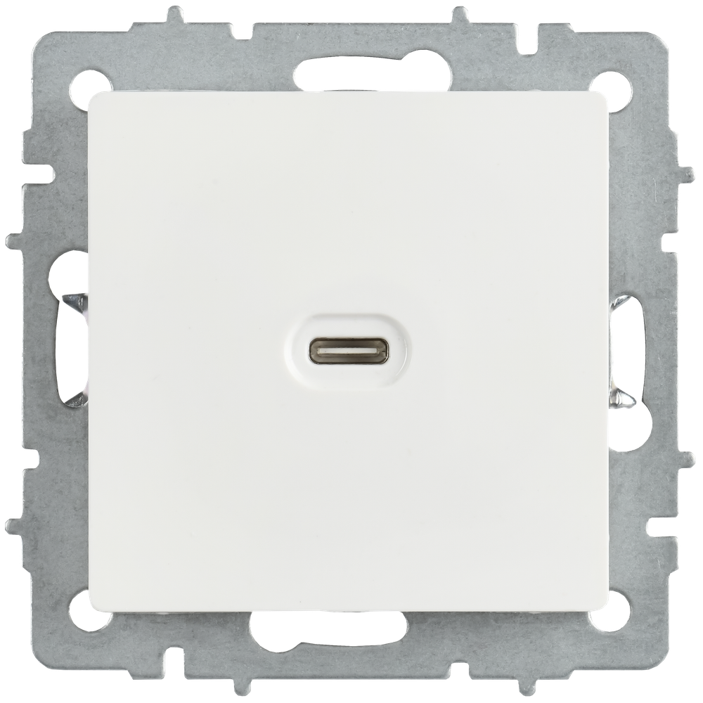 BRITE Розетка USB C 65Вт высокоскоростная зарядка РЮ12-1-БрБ белый IEK