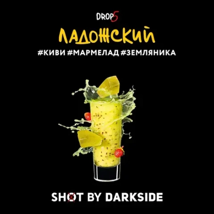DARKSIDE SHOT - ЛАДОЖСКИЙ ВАЙБ 120g