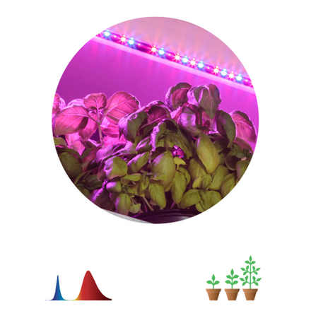 Светодиодная лента для растений ЭРА FITO-Strip Light-RB-2m красно-синего спектра, 2 м, IP65 с адаптером 12V в комплекте