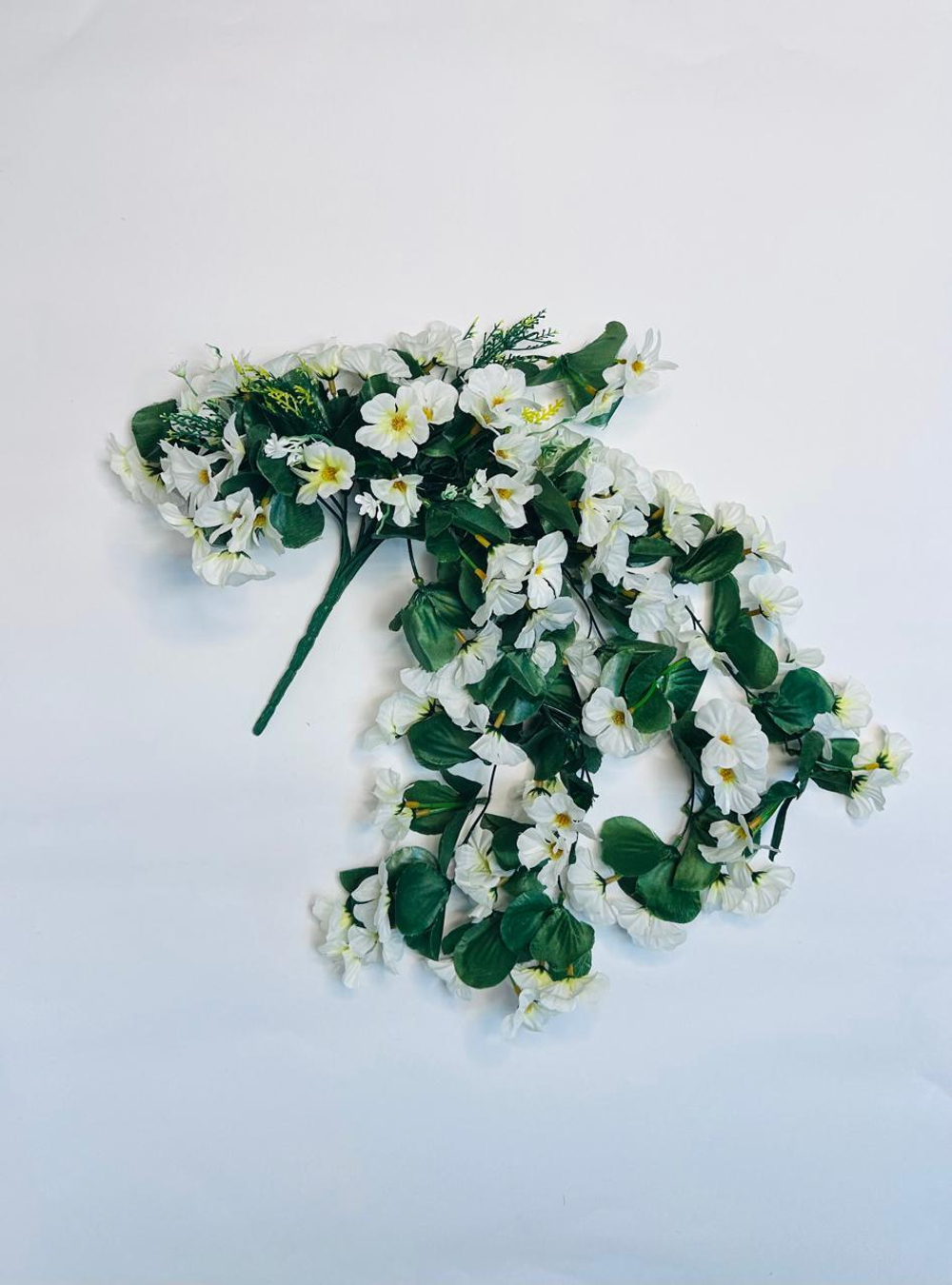 Фиалка ампельная