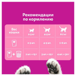 Корм для кошек влажный Белая рыба+креветки+овощи в желе, 75г Особое удовольствие Whiskas