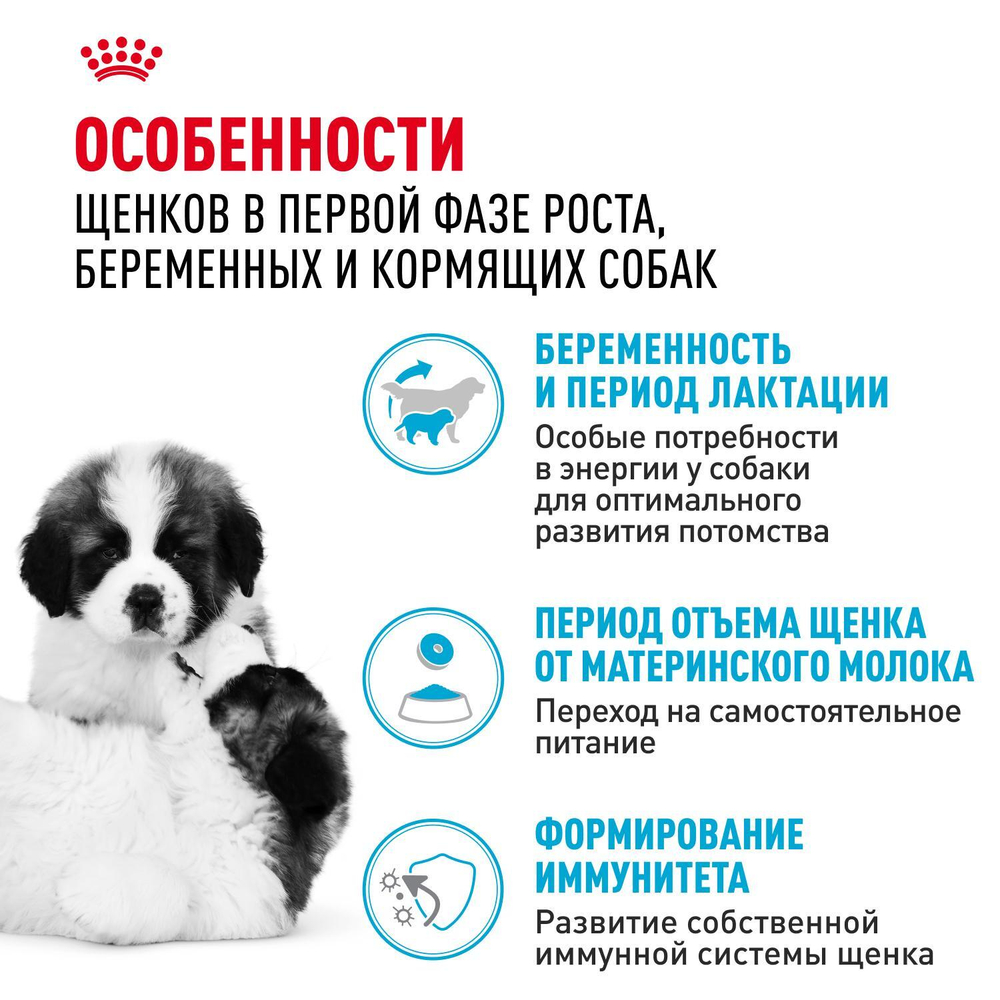 Royal Canin Giant Starter Корм для щенков гигантских пород до 2-х месяцев беременных и кормящих собак 15 кг