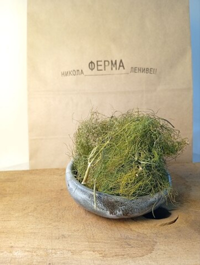 Фенхель сушеный