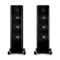 Quad Revela 2 Walnut Black