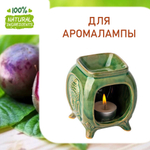 Маракуйя, отдушка для свечей и мыла