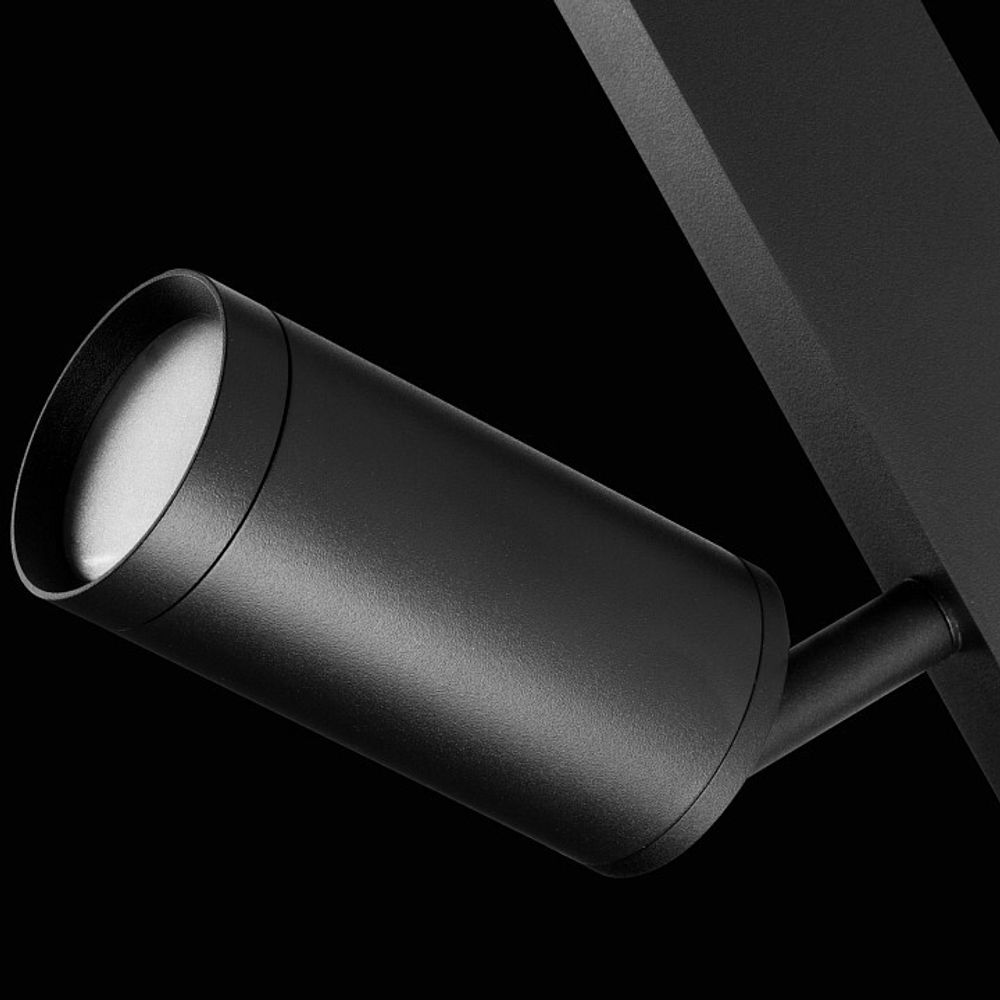 Светильник на штанге Lightstar Teta 205027R