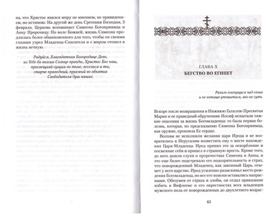 Земная жизнь Пресвятой Богородицы и описание святых чудотворных её икон