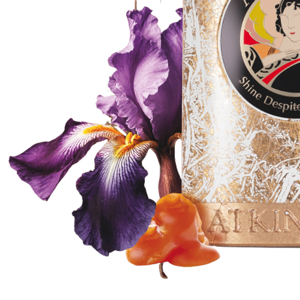 Atkinsons Shine Despite Everything Parfum Intense 100 ml