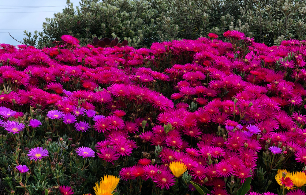 1111 новый товар3 ENGLISH