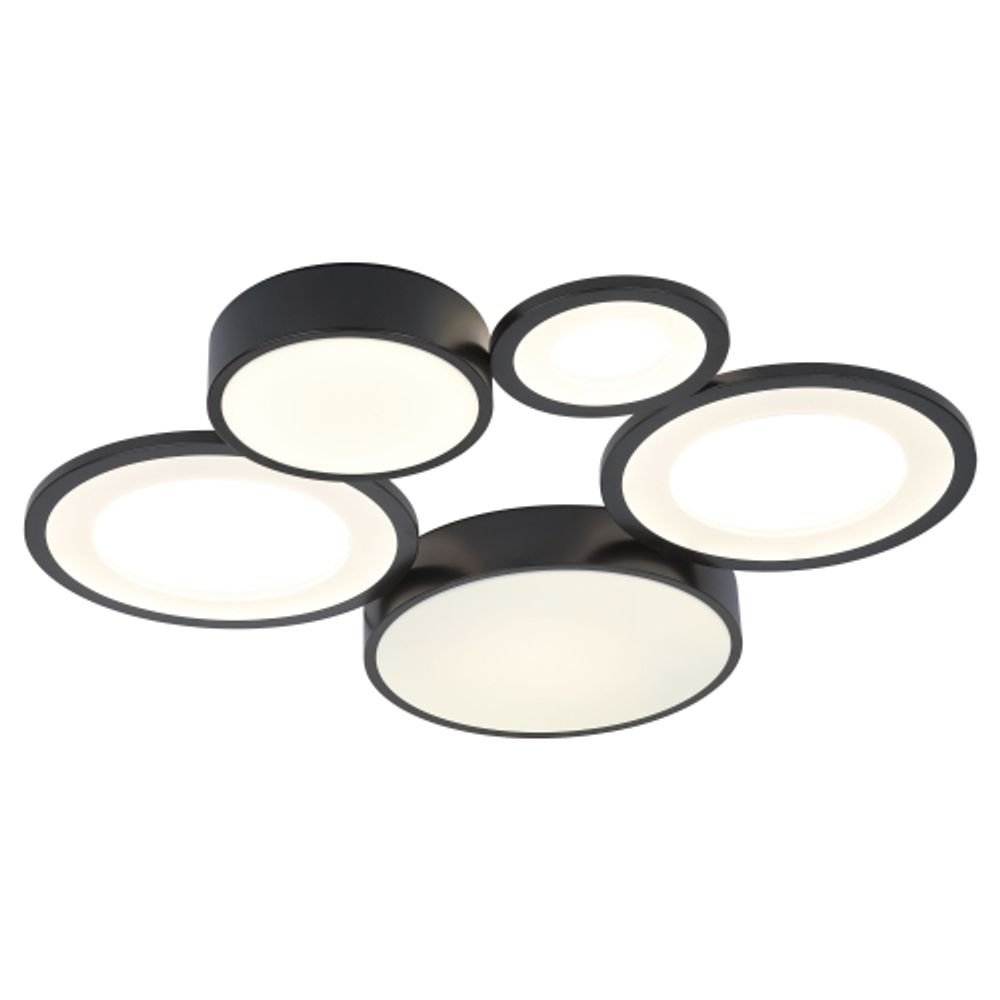 Светильник потолочный светодиодный Rivoli Aliona 6161-201 LED 110 Вт 3000 - 6000 К с пультом | Rivoli