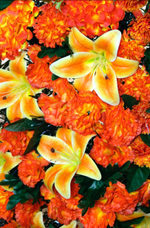 Венок ритуальный Оранжевый вальс 140 см