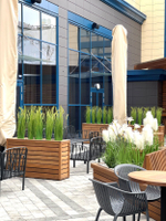 Озеленение искусственными осоками отеля "Hilton" г.Краснодар