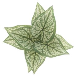 GAEM Цветочная композиция "Каладиум", L20 W20 H21 см