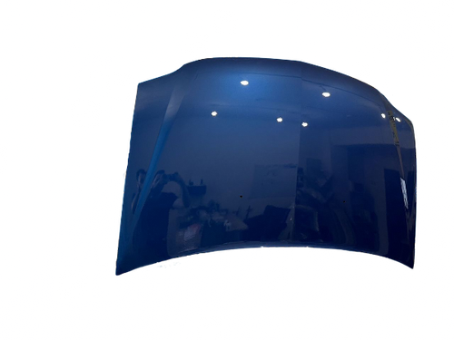 Капот Renault Logan Albastra Egee