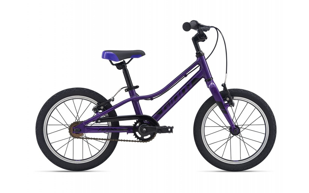 Детский велосипед Giant ARX 16 F/W (2021)