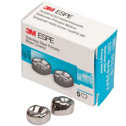 Первый нижний левый моляр, размер 6 (D-LL-6)