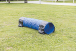 Тоннель для собаки Trixie Agility, размер 40х200см., синий