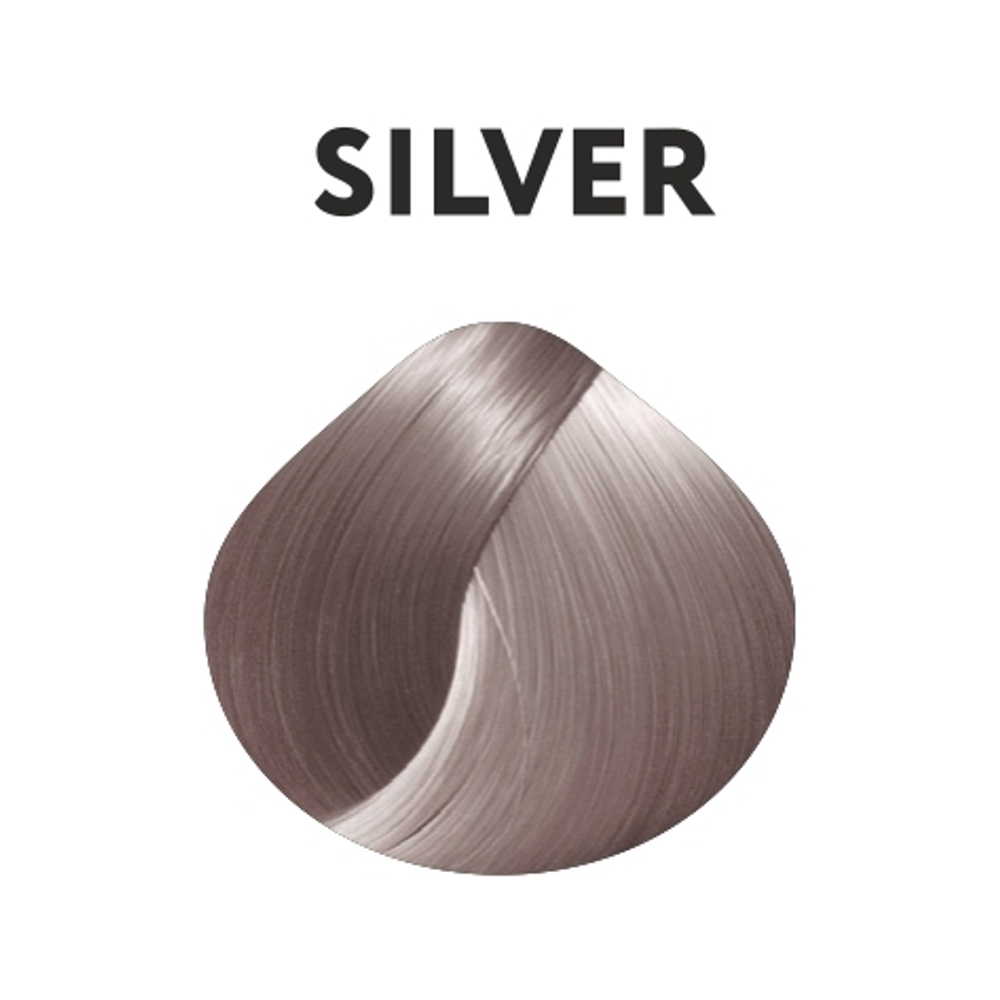 Silver крем-краска KAARAL AAA Color Collection серебристый корректор - 100 мл.