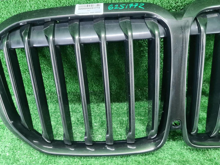 Решётка радиатора BMW X7 G07 (2019-2022)