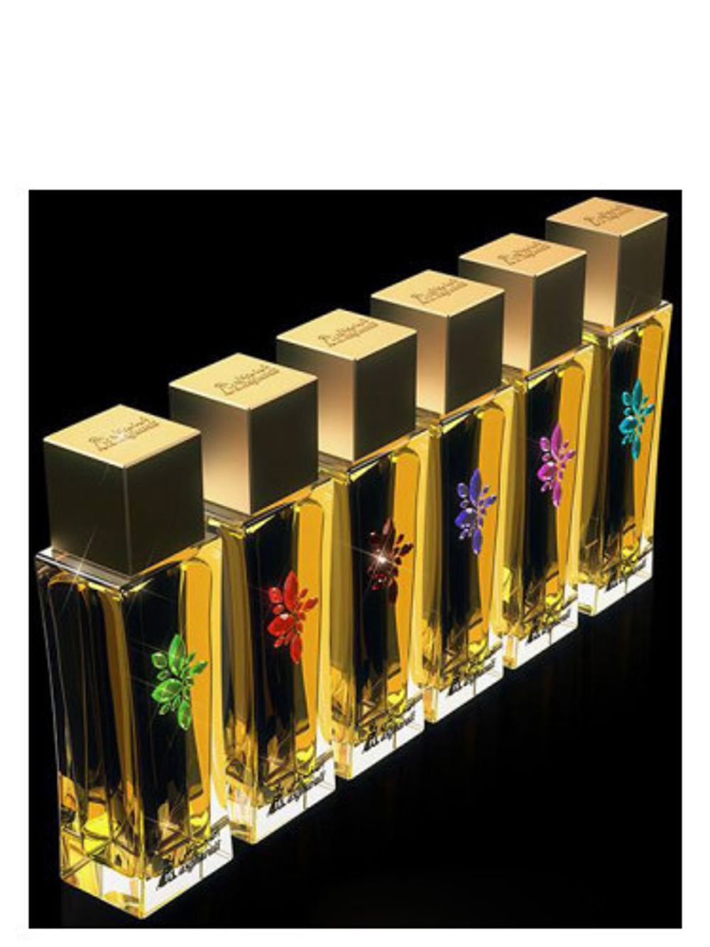 Asgharali Ambery Lavandula