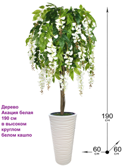 Искусственное дерево Акация белая 190 см в высоком круглом белом кашпо