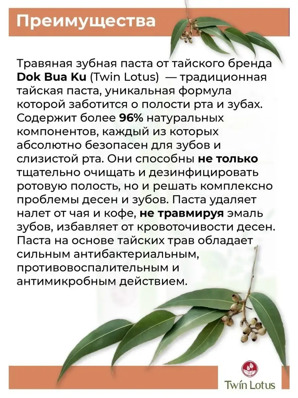 Травяная зубная паста 100 гр