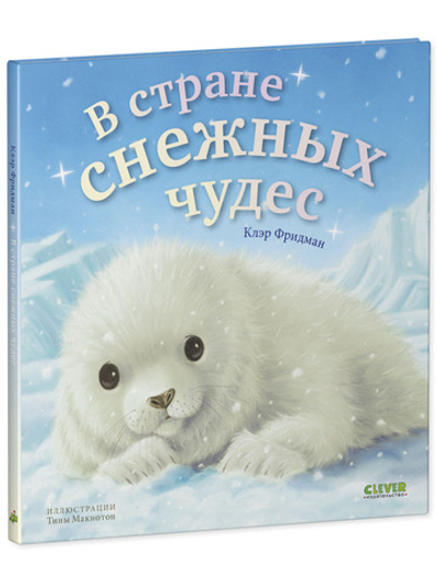 Книжки-картинки. В стране снежных чудес