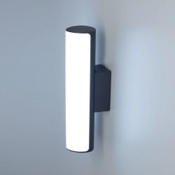 Citilux GARDA CLU0007 LED Уличный светильник Графит