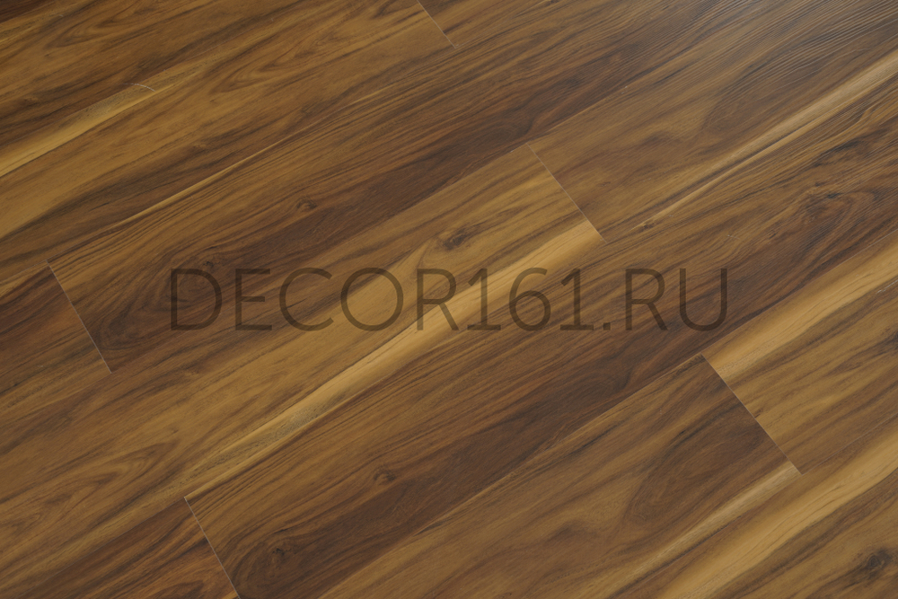 1239 Forest Collection SPC