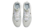Кроссовки Nike Lebron Witness 6