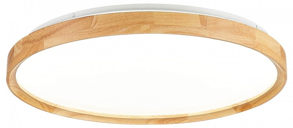 Накладной светильник EVOLUCE DELIA SLE201382-01