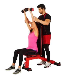 UFC Скамья универсальная Deluxe