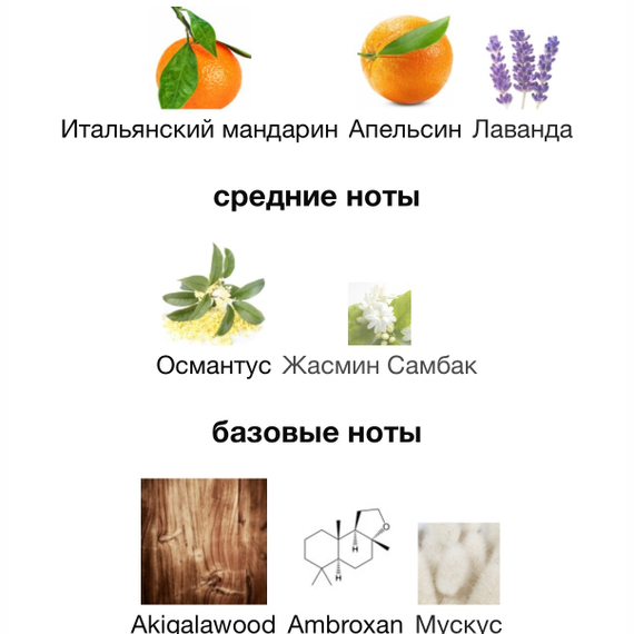 HORMONE PARIS This Is Not GABA