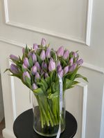 Тюльпаны классика - лавандовый цвет ЗАКОНЧИЛСЯ