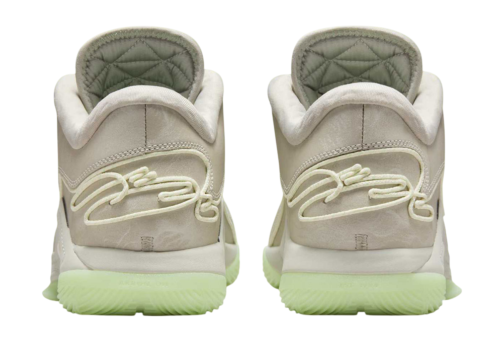 Заказать в Москве LeBron 22 Dunkman