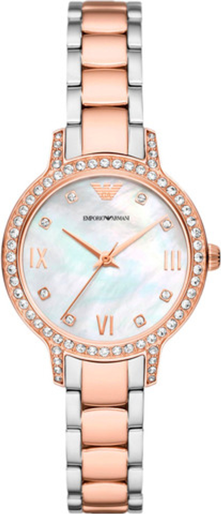 Женские наручные часы Emporio Armani AR11499