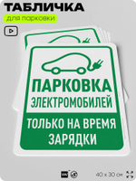Табличка для парковки "Парковка электромобилей", для дома, офиса, организаций, 40х30 см, Silver Plane x Айдентика Технолоджи