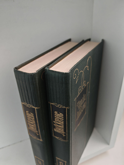 Чарльз Диккенс. Собрание сочинений в тридцати томах. Том 13-14. Домби и сын