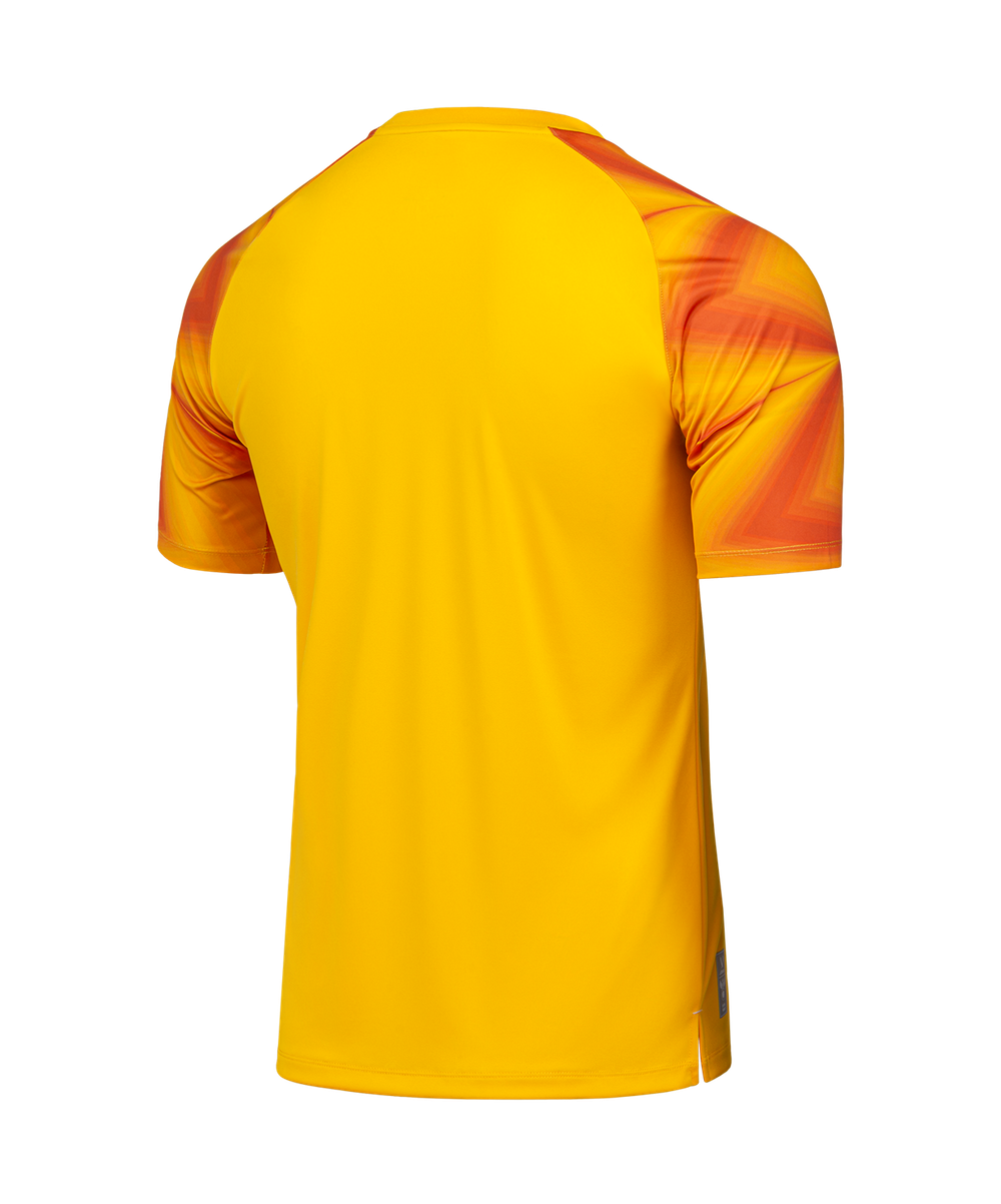 Футболка вратарская JOGEL NATIONAL PerFormDRY GK Jersey, желтый