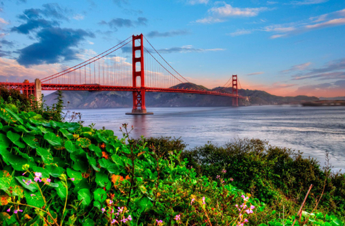 Города 2 №88 Фотообои и Фрески ручной работы