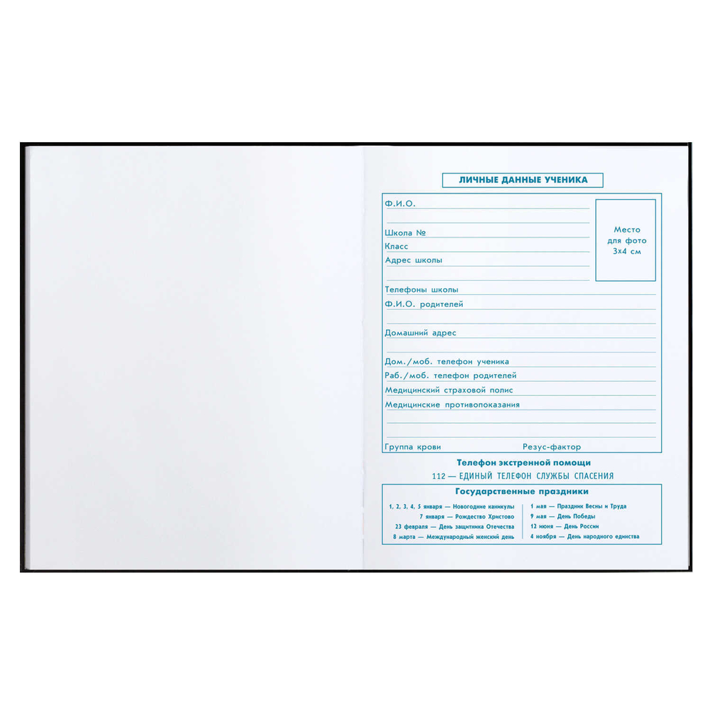 Дневник школьный 1-4 класс 48л "Кибер" (Феникс+)