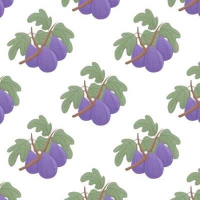 Спелые фиги на ветке с листьями. Фруктовый паттерн на белом фоне. Тропические фрукты. Фиги на ветке.