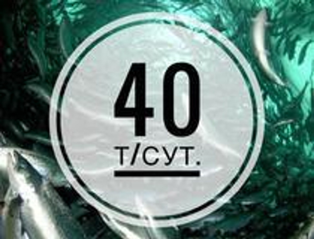 Модульный завод блочной заморозки рыбы, 40 т/сутки