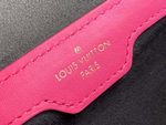 Louis Vuitton Papillon Trunk