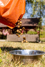 Сухой корм для собак "Maximus" Индейка 10 кг ; Супер премиум класс; Гранулы среднего размера