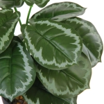 Цветок искусственный в горшке «Сингониум» 22см