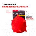 Сенсорный плюшевый мяч Playology PUPPY SENSORY BALL 15 см для щенков средних и крупных пород 8-16 недель с ароматом говядины, цвет красный