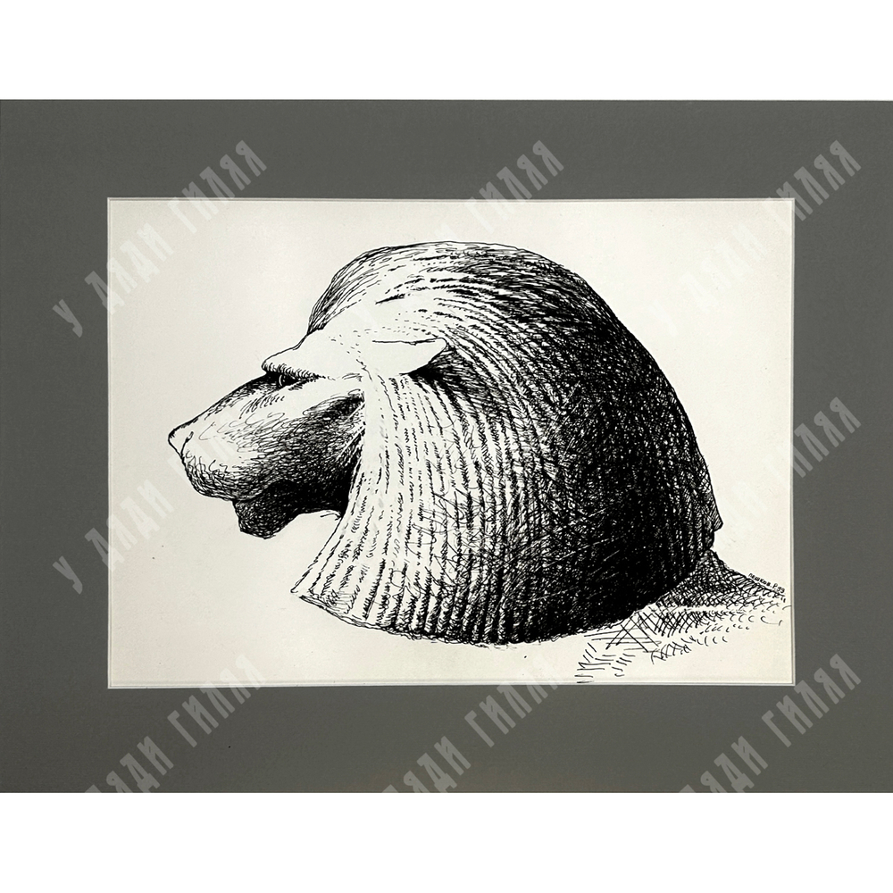 Пешков Р.В. Лев. Бумага, тушь, перо. Россия, 1999 г.