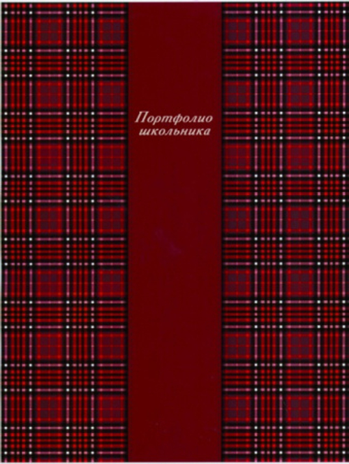 Портфолио школьника "Шотландия бордо", 20 файлов, ФЕНИКС