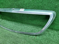 Молдинг решетки радиатора Mercedes S w222 (13-17)